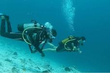 4 Days PADI Open Water Course in Zanzibar: Discover Scuba Diving with Certification