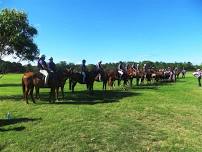 Salt Ash Pony Club - Zone 25 Dressage Day