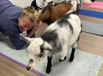 Saturday Stretch & de-Stress with Goat Yoga