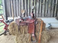 Principles of Saddle Fitting