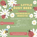 5/29 | Insect Wrap-up & Summer Kickoff | Little Busy Bees