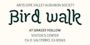 Bird Walk at Grassy Hollow