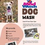 Man's Best Freind Dog Wash