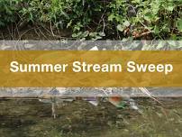 Summer 2024 Stream Sweep