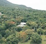 Livity Retreat  in Nevis, West Indies