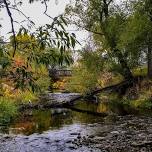 Walk @ Bear Creek Trail (Stone House)