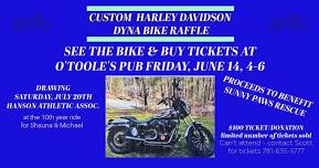 CUSTOM HARLEY DAVIDSON BIKE RAFFLE VIEWING EVENT