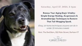 Renew Your Aging Dog's Vitality: Simple Energy Healing, Acupressure & Aromatherapy Techniques