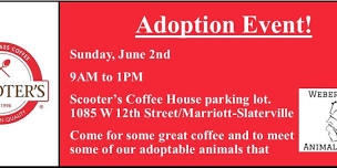 ADOPTION EVENT!