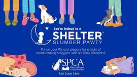 Shelter Slumber Pawty - 24 Hour Sleepover Event