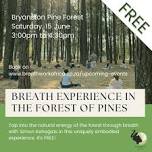 Free Breath Experience in Johannesburg