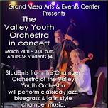 The Valley Youth Orchestra in Concert