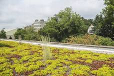 Sustainability Tour of Campus