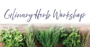 Culinary Herb Workshop