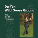 Da Yan Wild Goose Qigong Intensives 1st 64