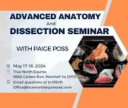 Paige Poss Advanced Anatomy and Dissection Seminar