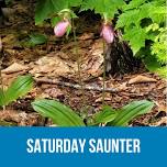 Saturday Saunter at Palermo Preserve — Midcoast Conservancy