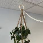 Macrame Plant Hanger Workshop