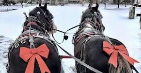 Horse & Carriage Rides with the Clydesdales