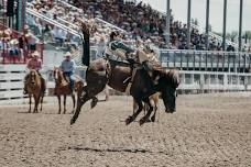 Rough Stock Rodeo