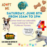 Valu Home Center Adoption Event & Food Drive