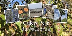 Callery Pear Buyback/Recall Event - Fairway, KS