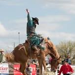 Labor Day Rodeo