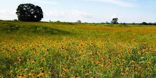 Coppell Cozby Library: Deep Dive into North Texas Ecotone