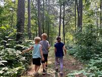 Nature Play at Paul M. Thiede Fire Tower Park