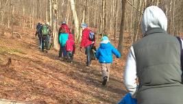 Discover Greylock: Family Friendly Trail Hike