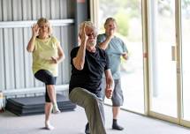 Chair Tai Chi with Rich Trautman at Salado Senior Center