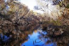 Hassayampa River Preserve, then the Bradshaw Mountains.