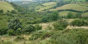 Tylcau Hill walk for Radnorshire Wildlife Trust Members