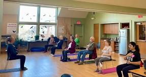 Meditation in the Marsh