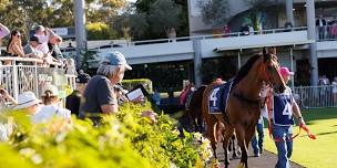 Sunshine Coast Raceday