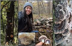 Mushroom Identification and Foraging