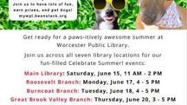 Celebrate Summer with the Worcester Public Library!