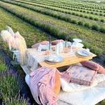 Private Picnic (for 2x)