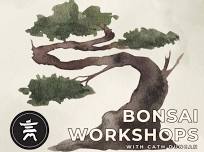 Bonsai Workshops