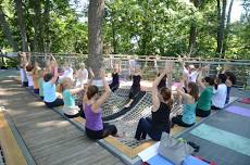 Yoga in the Treetops