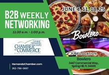 June B2B Weekly Networking Meeting