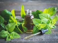 Lemon Balm Tincture