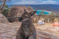 Hobart: Wineglass Bay & Freycinet National Park Via Richmond