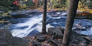 Fall Foliage Photo Workshop in Algonquin Park (Oct 7-9, 2024)