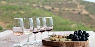 Plática y Pruebas: Valle de Guadalupe Wine Tasting | $45