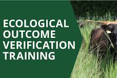 Ecological Outcome Verification Training