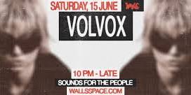 Volvox