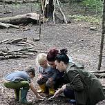 TimberNook at the Avon Hills Folk School: Tiny Ones - Garden Play