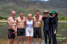 Cold Water Swimming Workshop