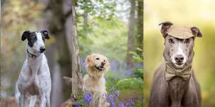 The Phodographer at The Northern Greyhound Gathering 2024